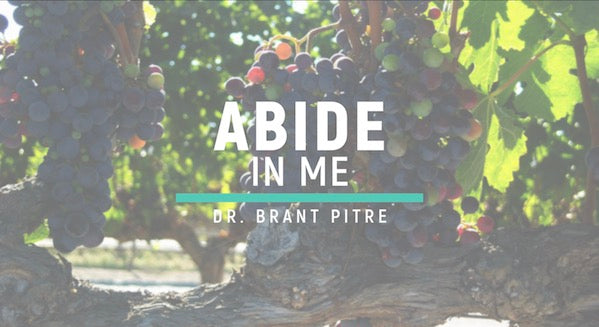 Abide in Me