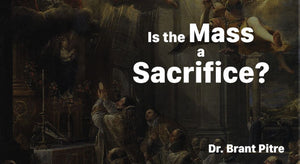 Is the Mass a Sacrifice?