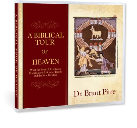 A Biblical Tour of Heaven CD