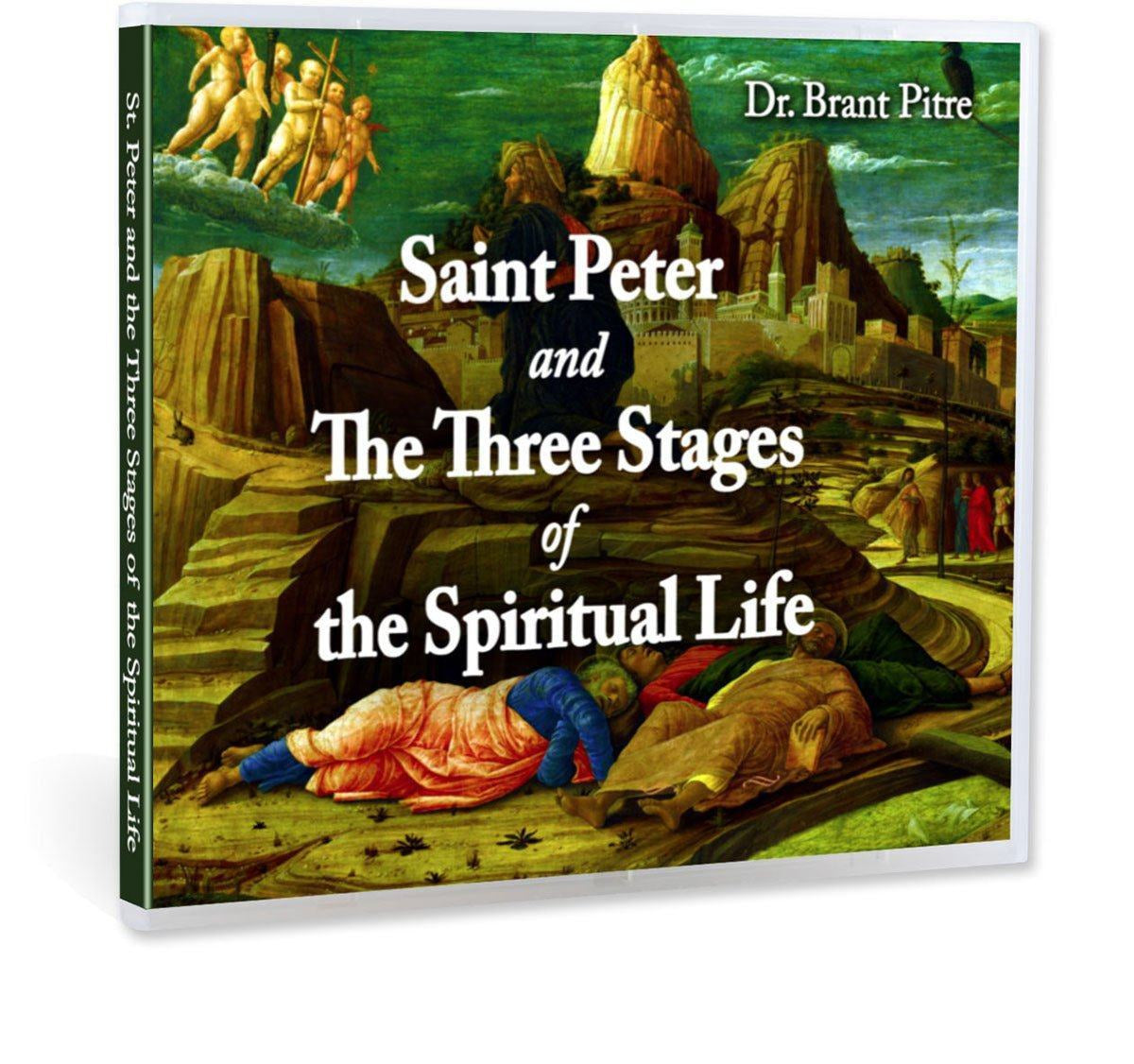Learn what the three stages of the spiritual life are and how the Bible shows Peter going through each one in this impressive Bible study with Dr. Brant Pitre on CD.