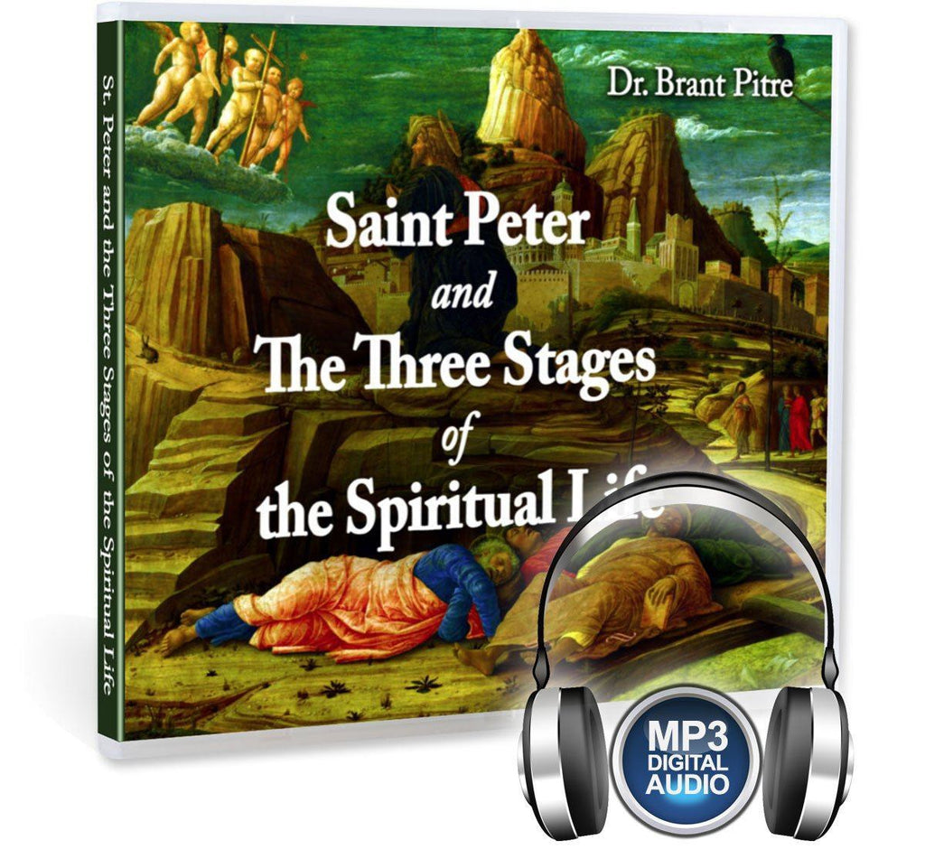 Learn what the three stages of the spiritual life are and how the Bible shows Peter going through each one in this impressive Bible study with Dr. Brant Pitre on MP3.