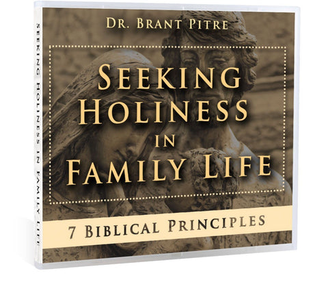 Seeking Holiness in Family Life CD