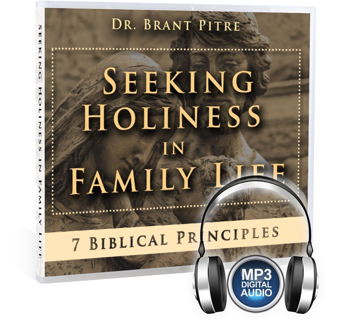 Seeking Holiness in Family Life CD