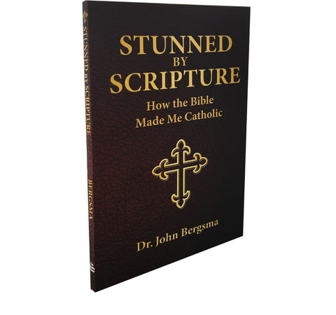 Stunned by Scripture: How the Bible Made Me Catholic-Catholic Productions